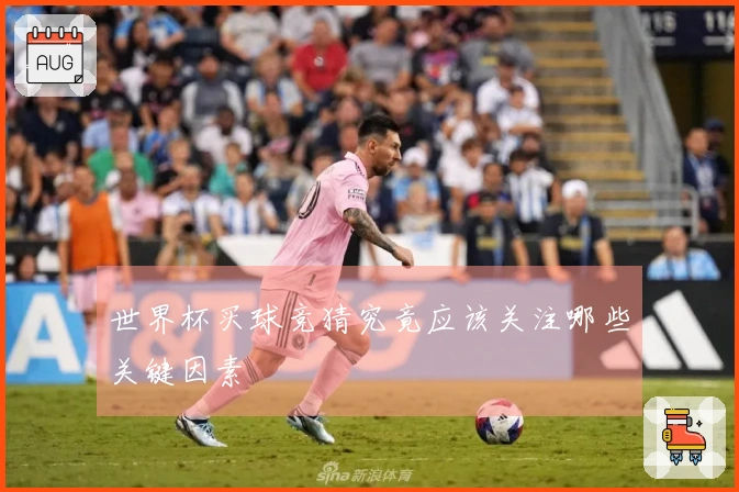 世界杯买球竞猜究竟应该关注哪些关键因素