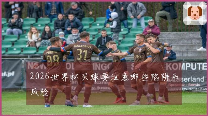 2026世界杯买球要注意哪些陷阱和风险