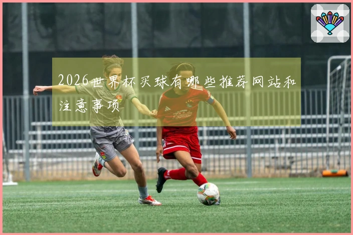 2026世界杯买球有哪些推荐网站和注意事项