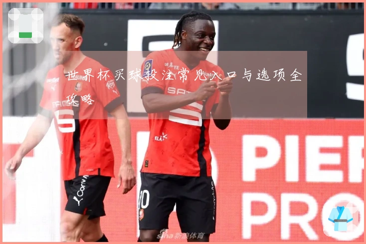 世界杯买球投注常见入口与选项全攻略