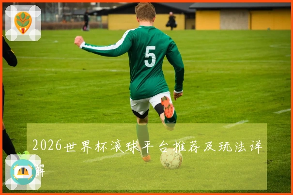 2026世界杯滚球平台推荐及玩法详解