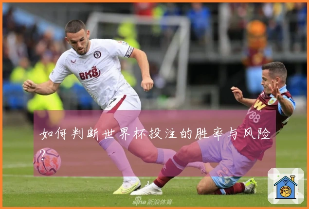 如何判断世界杯投注的胜率与风险？