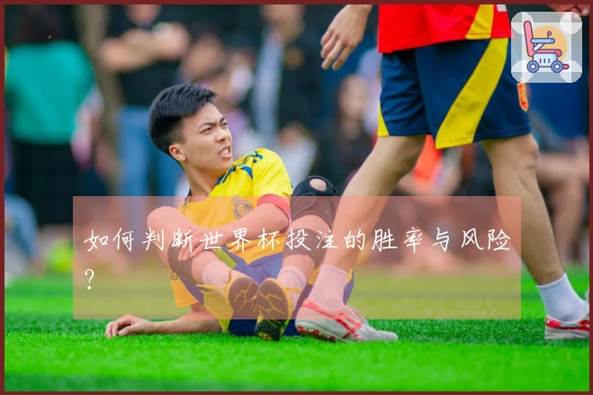 如何判断世界杯投注的胜率与风险？